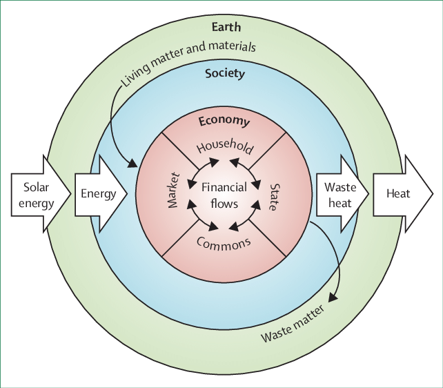 The Embedded Economy Model Diagram